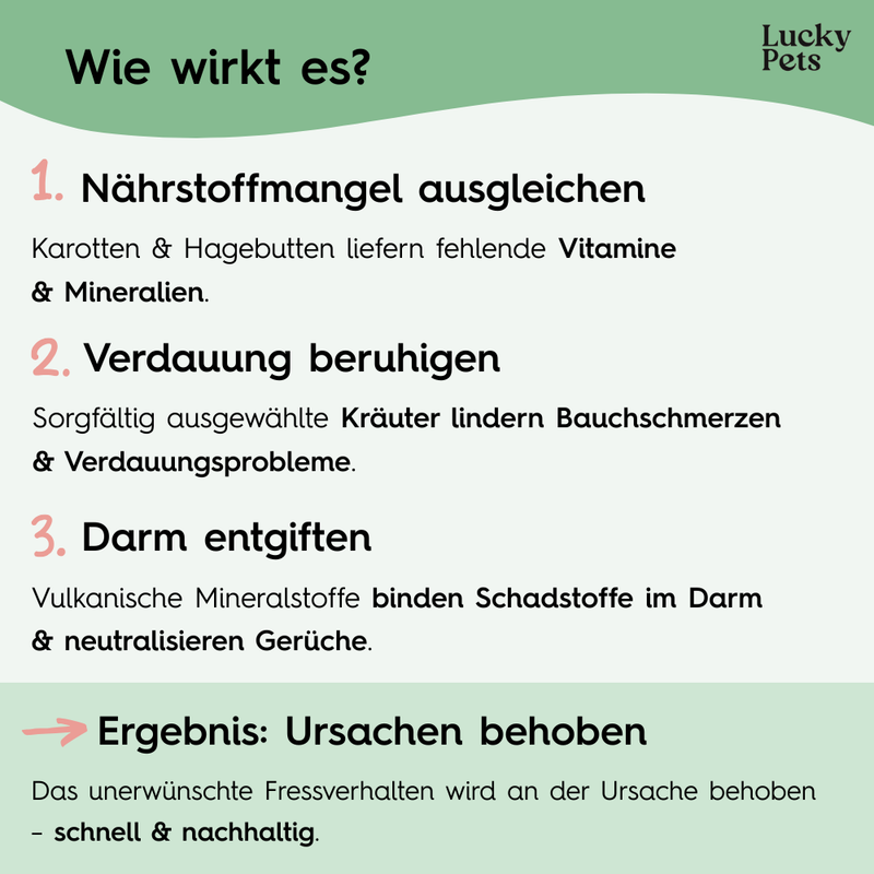 Lucky Pets Tabletten gegen Grasfressen – Magenschutz mit Ulmenrinde für empfindliche Hunde