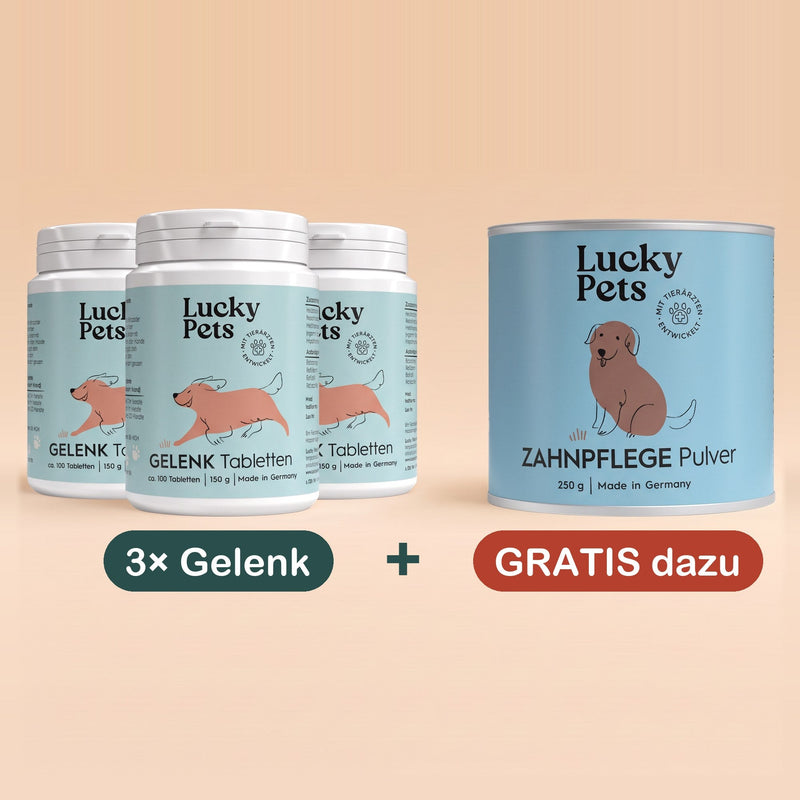 3er Set mit 1 Geschenk-Dose gratis