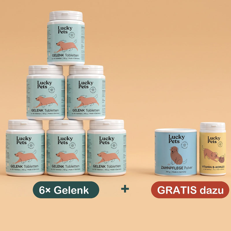 6er Set mit 2 Geschenk-Dosen gratis