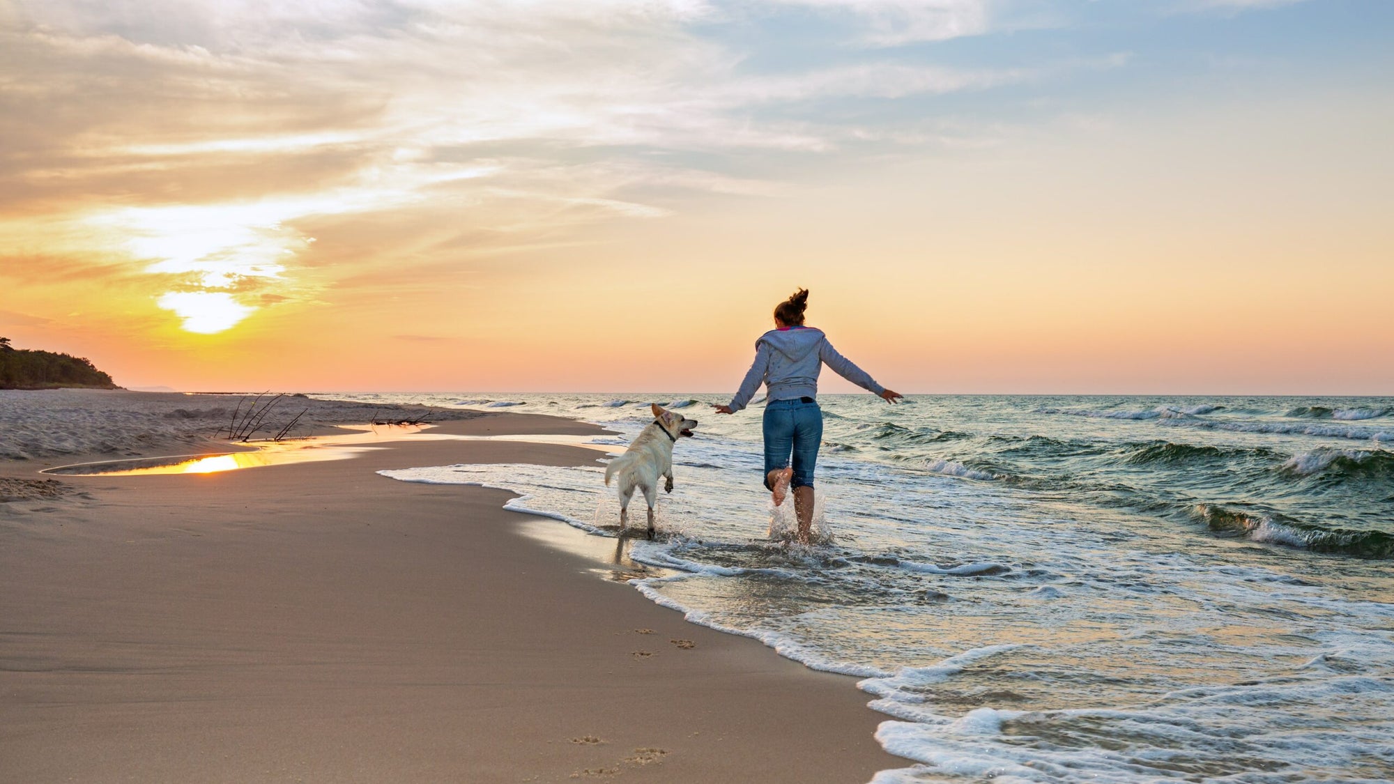 Die perfekte Auszeit am Meer mit deinem Hund: Nordsee oder Ostsee?