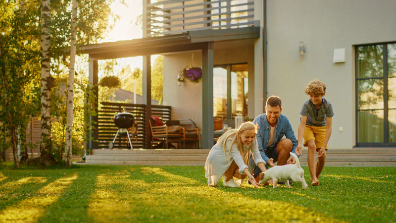 Wie du einen haustierfreundlichen Garten gestaltest: 10 Tipps