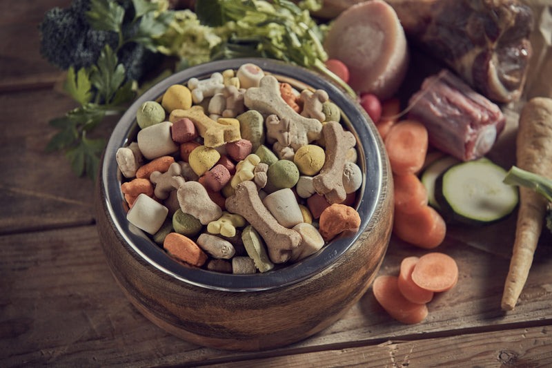 Ernährungstrends für Haustiere: Was ist wirklich gut für unsere Lieblinge?