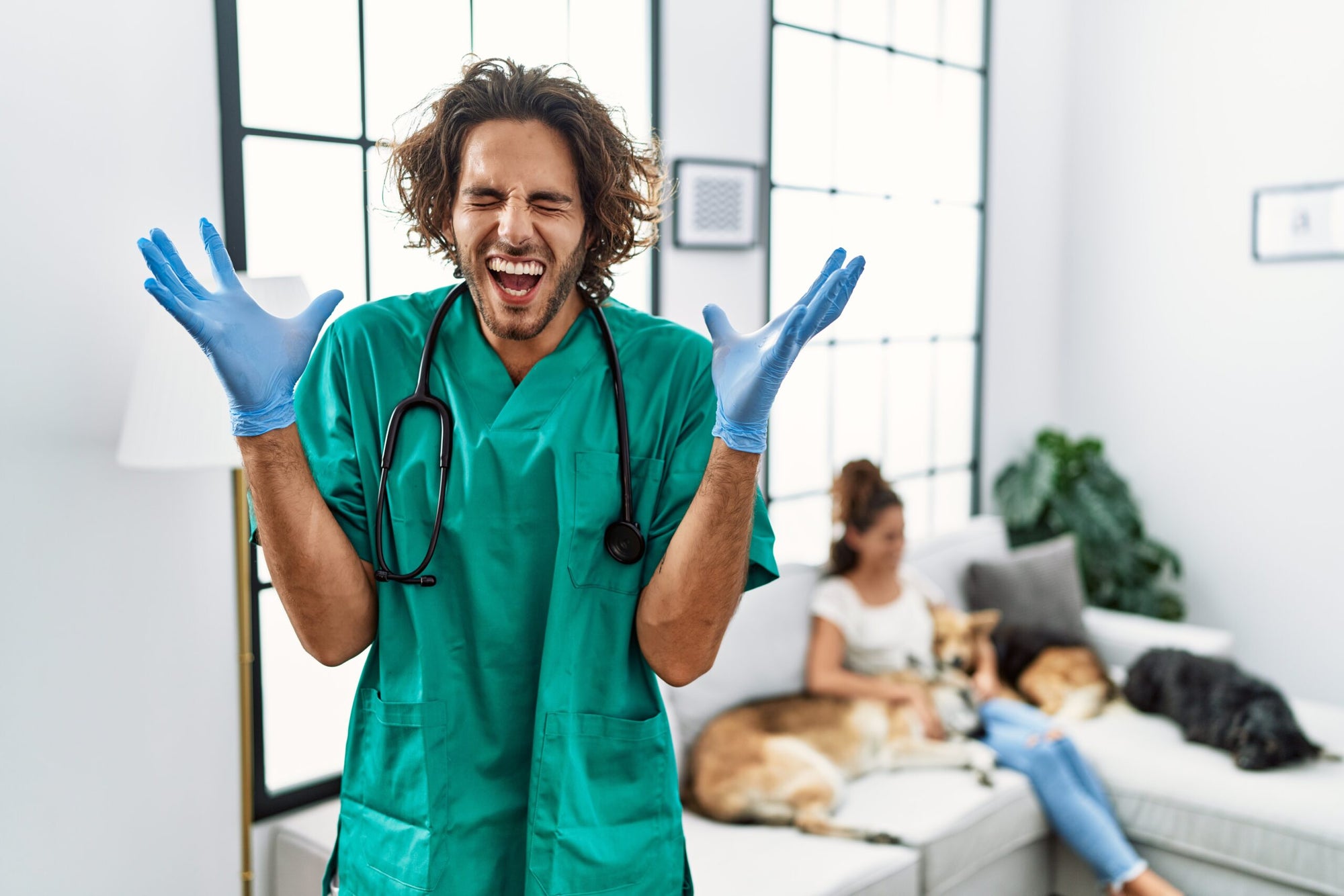 Welche Erfolgsbilanz gibt es bisher bei Hundegelenktabletten und welche Studien gibt es dazu?