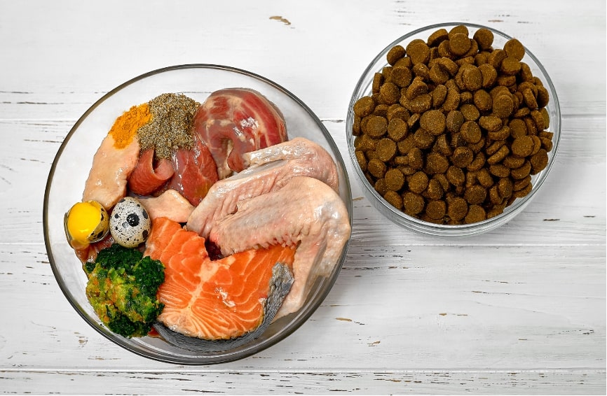 Ist BARF wirklich das Beste für deinen Hund?