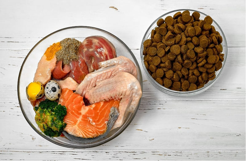 Ist BARF wirklich das Beste für deinen Hund?