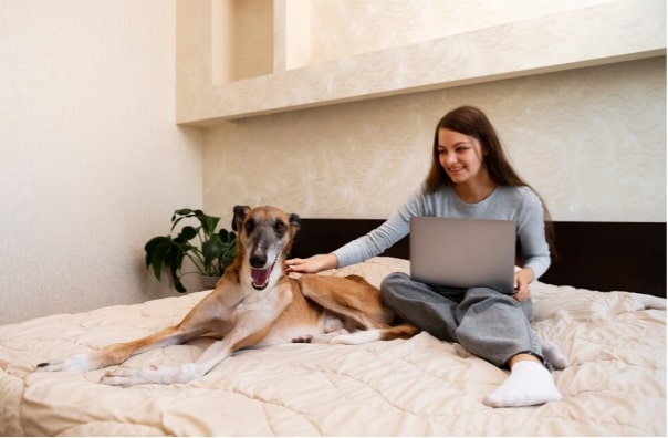 Haustierfreundliche Hotels: Was sind sie und warum werden sie immer beliebter?