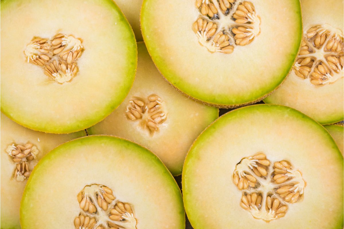 Dürfen Hunde Honigmelone essen?