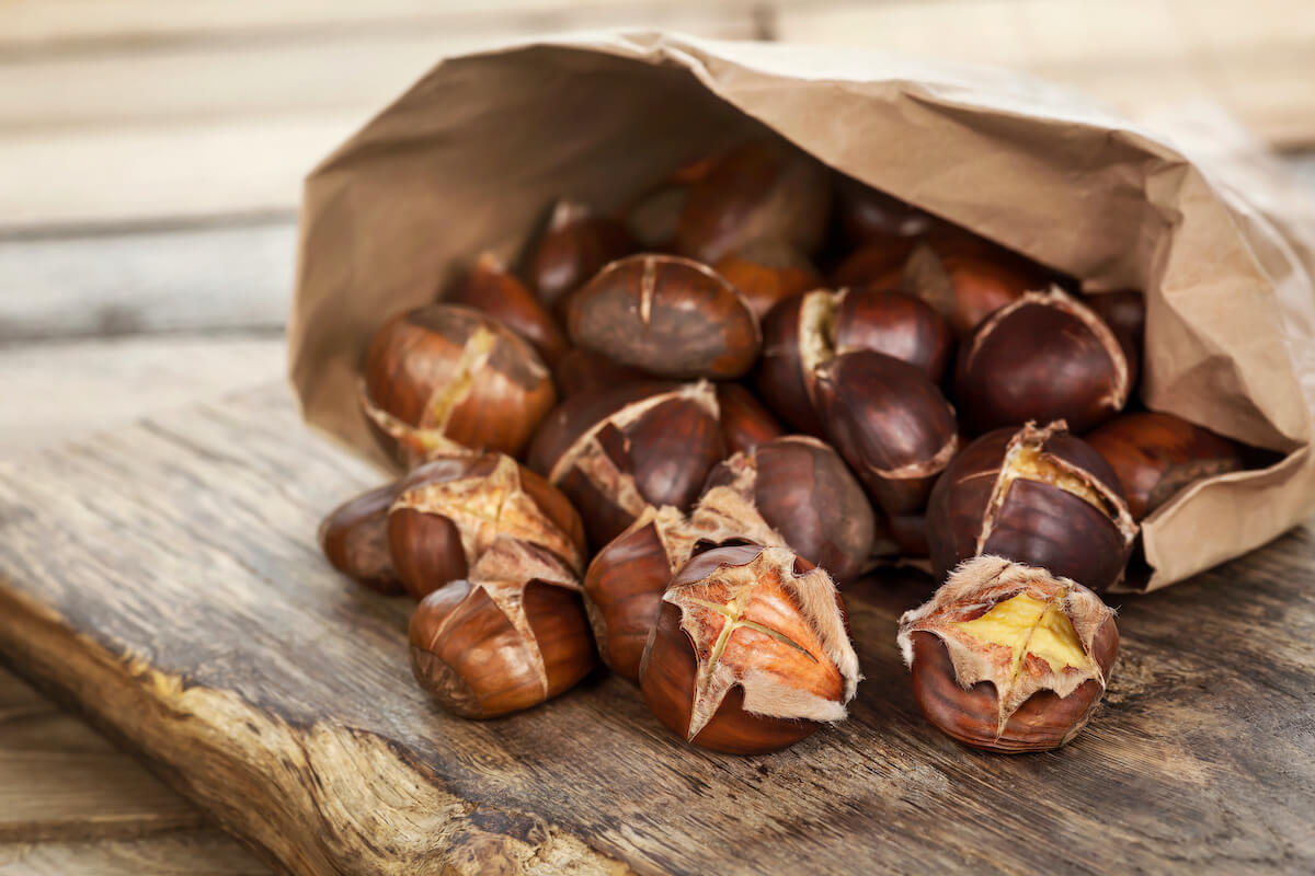 Dürfen Hunde Maronen essen?