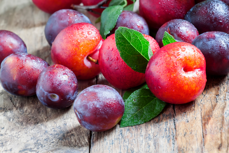 Dürfen Hunde Pflaumen essen?
