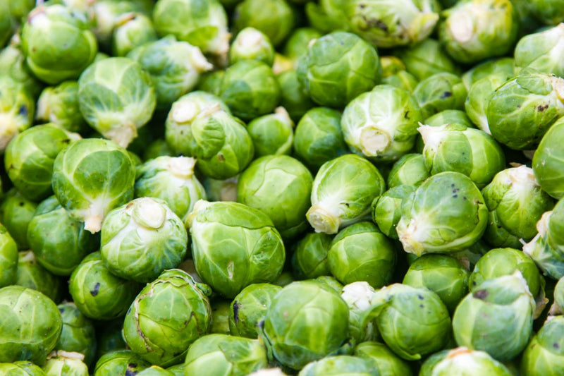 Dürfen Hunde Rosenkohl essen?