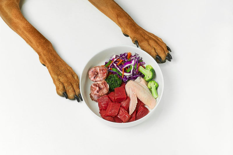Dürfen Hunde Spinat essen?