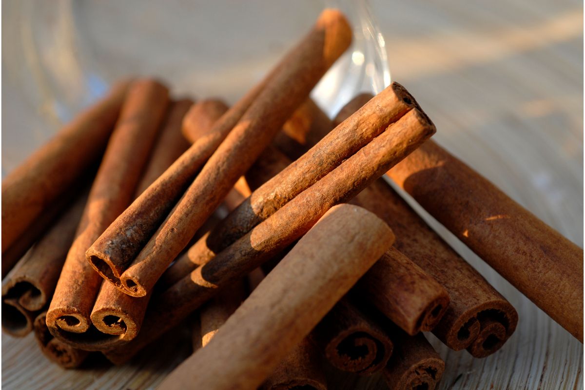 Dürfen Hunde Zimt essen?