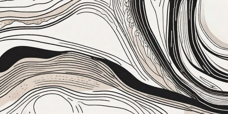 Häufige Ursachen für schwarze Ablagerungen im Ohr Ihres Hundes - ein umfassender Leitfaden