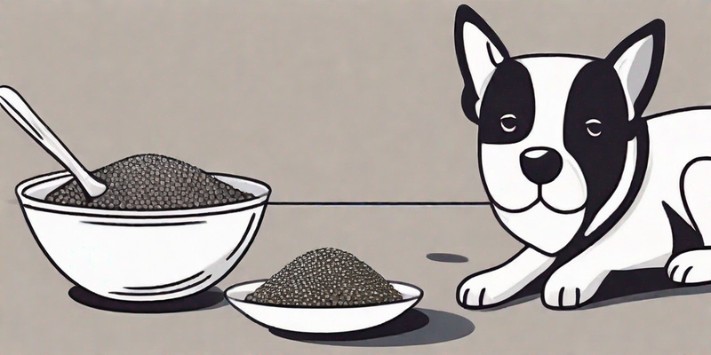 Die Wirkung von Chia-Samen auf Hunde: Nutzen, Dosierung und Zubereitung