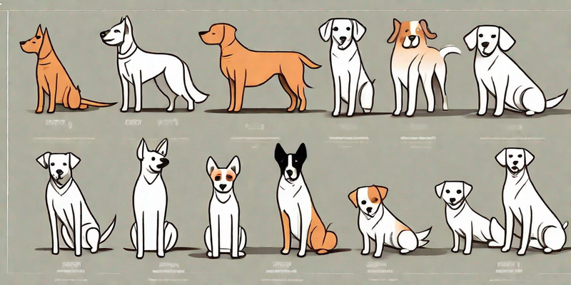 Bezaubernde Hunderassen mit kurzen Beinen: Ein visueller Leitfaden