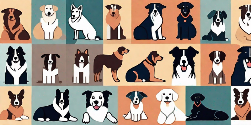 Entdecken Sie die intelligentesten Hunderassen der Welt - mit Bildern