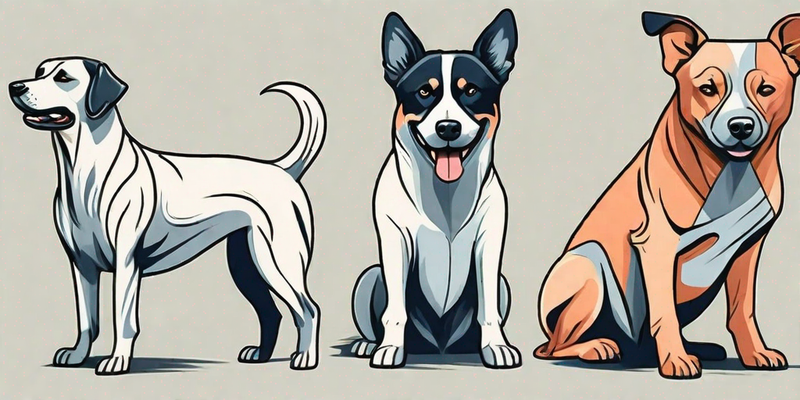 Top 5 Hunderassen, die zu Überbissen neigen (mit Bildern)