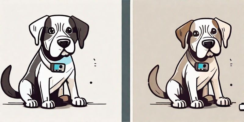 6 einfache Schritte, um Ihrem Hund Peng beizubringen - einfache und effektive Methode (mit Video)