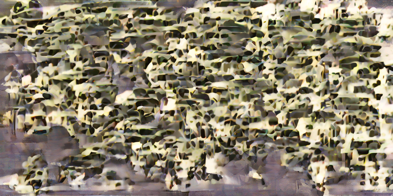 Allopurinol für Hunde: Dosierung, Wirkungen und Nebenwirkungen erklärt