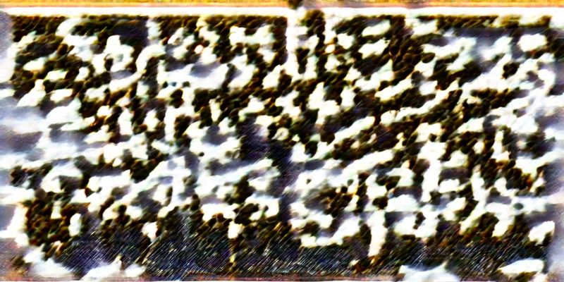 Entdecken Sie die Westfälische Dachsbracke: Ein umfassendes Rasseprofil