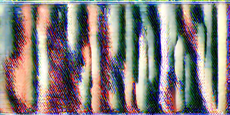 Die Verwandlung: 10 Hunde, die als Welpen und Erwachsene völlig anders aussehen