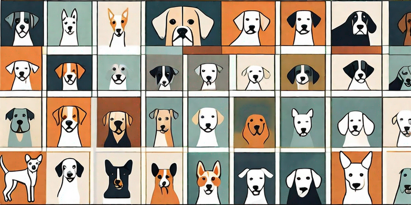 Top 500 Einzigartige und einprägsame Hundenamen mit Bedeutung (Rüden)