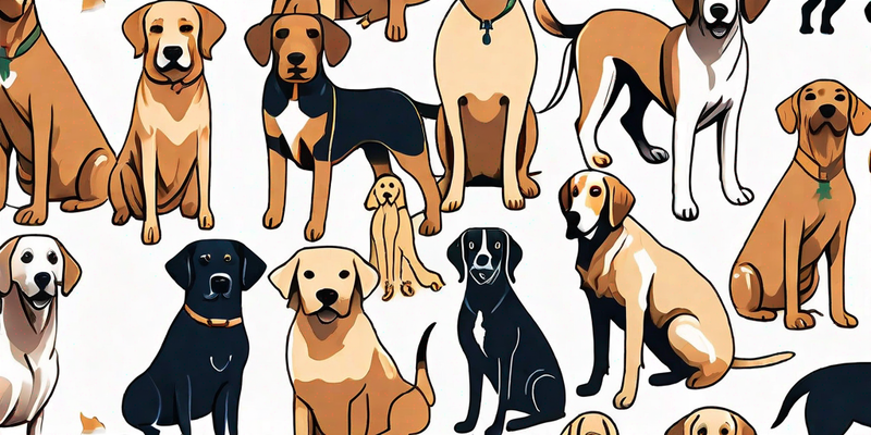 Die perfekten Hunderassen für Anfänger und Familien - ein umfassender Leitfaden