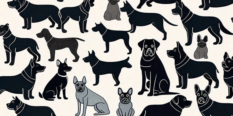 Entdecken Sie die beliebtesten Hunderassen: Ein umfassender Leitfaden