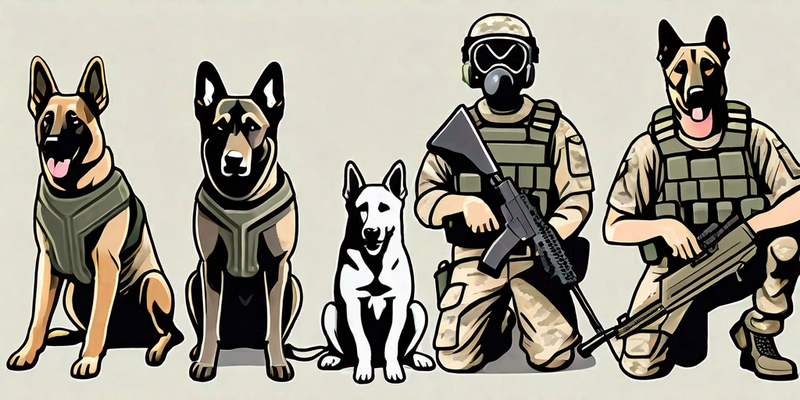 Militärhunde: Die besten Rassen für vielfältige militärische Aufgaben