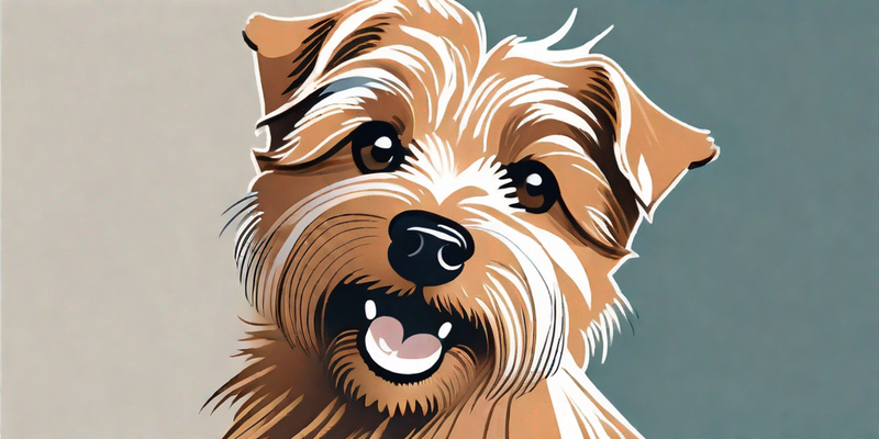 Norfolk Terrier: Alles, was Sie über diese bezaubernde Rasse wissen müssen