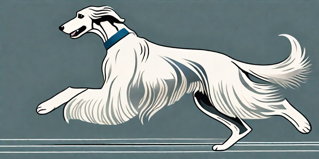 Den rätselhaften Afghanischen Windhund enthüllen: Ein Leitfaden zu Persönlichkeit und Ausbildung
