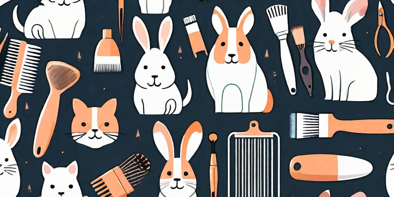 Wie man das Fell seines Haustiers pflegt: Ein Leitfaden aus dem Lucky Pets Magazin