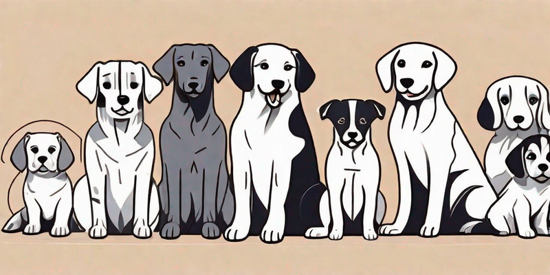 Wie viele Welpen können Sie von Ihrem Hund erwarten?