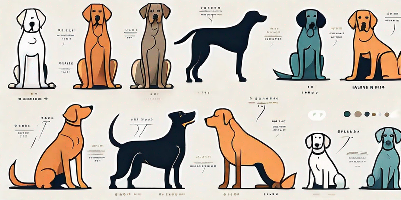 Tipps zur Auswahl eines passenden Hundenamens und seiner Bedeutung