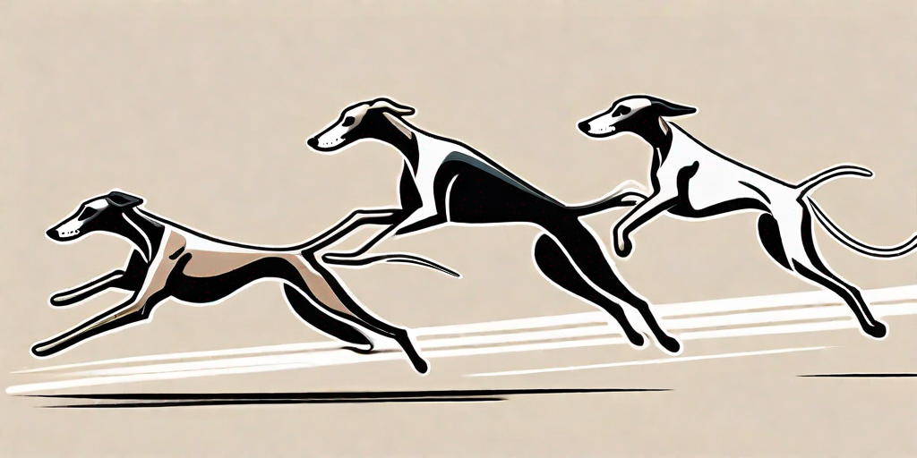 Entdecken Sie die schnellsten Hunderassen der Welt: Von der Eleganz der Windhunde bis zu blitzschnellen Begleitern