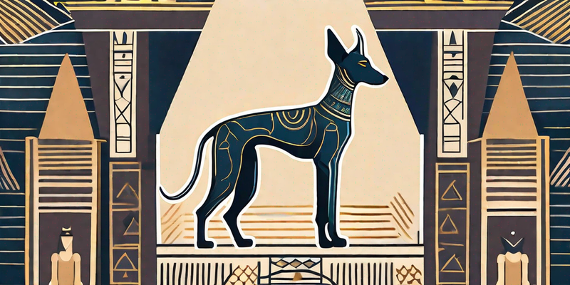 Entdecken Sie die zeitlose Schönheit und Eleganz des Pharaoh Hound - Ein Leitfaden für exquisite große kurzhaarige Hunderassen