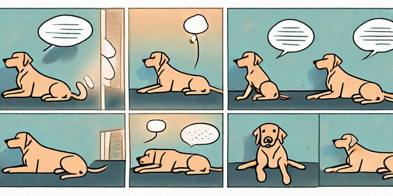 Warum machen Hunde nachts schmatzende Geräusche? Die Ursachen verstehen und wann man einen Tierarzt aufsuchen sollte