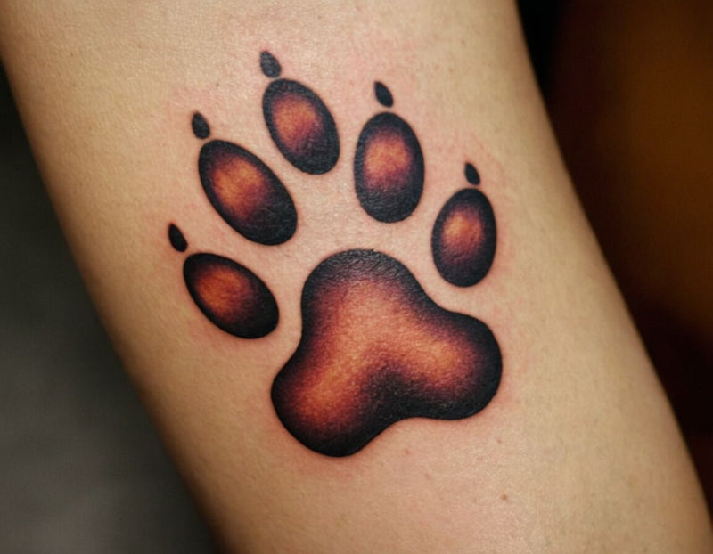 Tattoo Hundepfote realistisch: Bedeutungen, Gestaltungsideen und wo man es stechen lässt