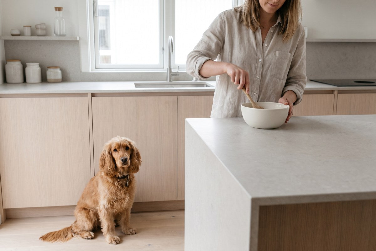 Kohletabletten für Hunde: Die Menge ist das Problem