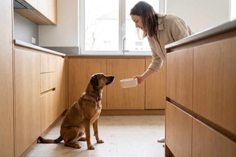 Milpro für Hunde: Viermal im Jahr reicht nicht immer