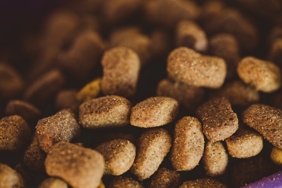 Ganzheitliche Hilfe bei Sodbrennen: Die Kombination aus Lucky Pets Magenpulver und Gras & Kotfresser Tabletten
