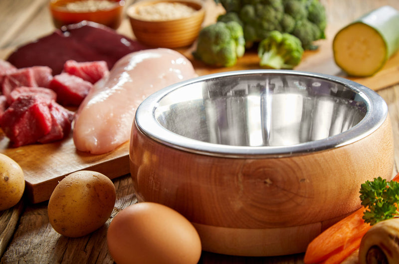 Schonkost für Hunde – Rezepte und Hausmittel bei Magenproblemen