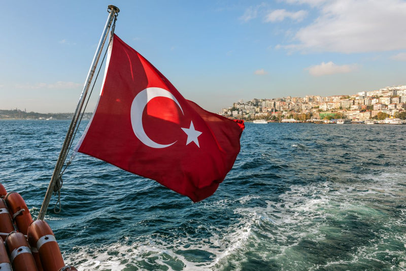 Türkische Hundenamen: 100 Namen für Deinen Hund