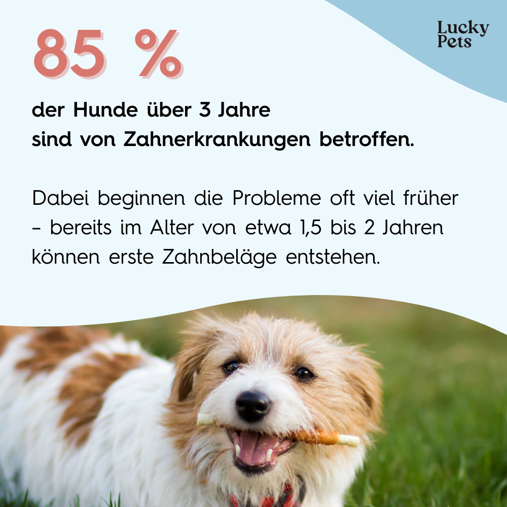 Lucky Pets Zahnpflegepulver für Hunde – ohne Bürste, 100% natürlich