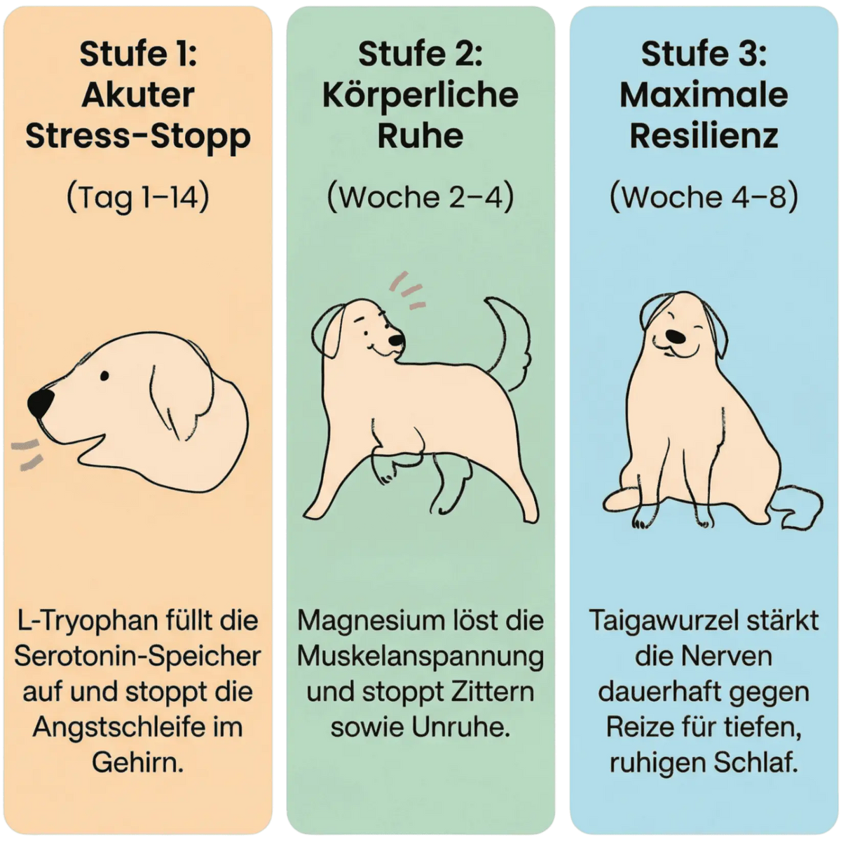 3-Stufen-Infografik Lucky Pets Relax