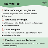 Lucky Pets Tabletten gegen Grasfressen – Magenschutz mit Ulmenrinde für empfindliche Hunde