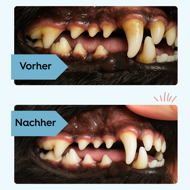 Lucky Pets Zahnpflegepulver für Hunde – ohne Bürste, 100% natürlich