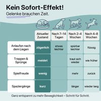 Kein Sofort-Effekt: was sich nach 7–14 Tagen, 2–4 Wochen und 4–8 Wochen verändert