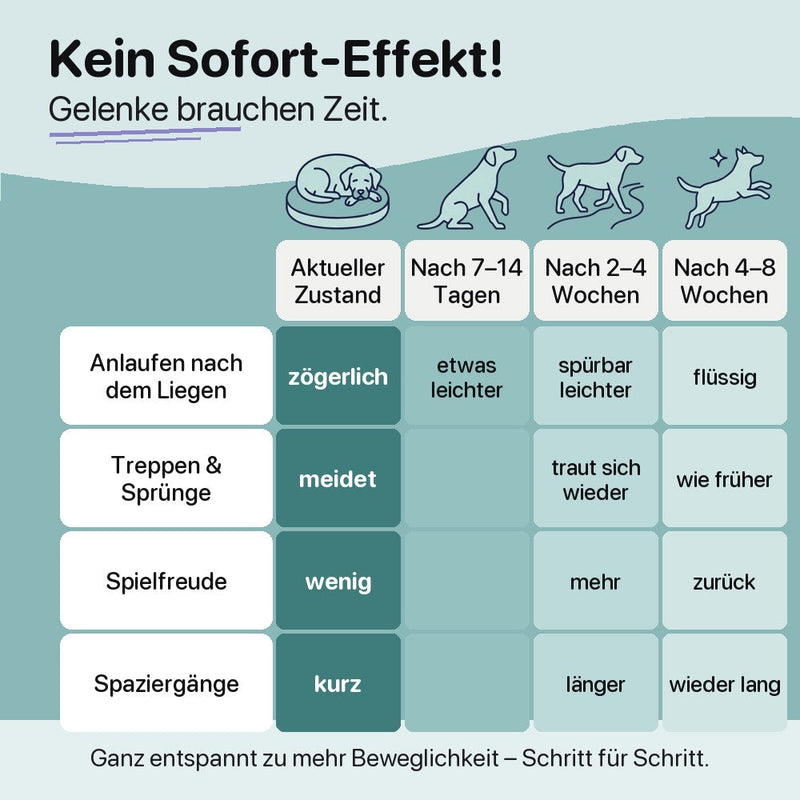 Kein Sofort-Effekt: was sich nach 7–14 Tagen, 2–4 Wochen und 4–8 Wochen verändert