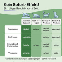 Kein Sofort-Effekt: was sich nach 7–14 Tagen, 2–4 Wochen und 4–8 Wochen verändert